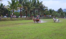 Wabup Bolmong Buka Karapan Sapi Lebaran Ketupat di Ikhwan
